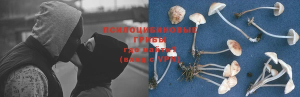 а пвп мука Алексин