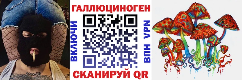 Галлюциногенные грибы Psilocybine cubensis  Карпинск 