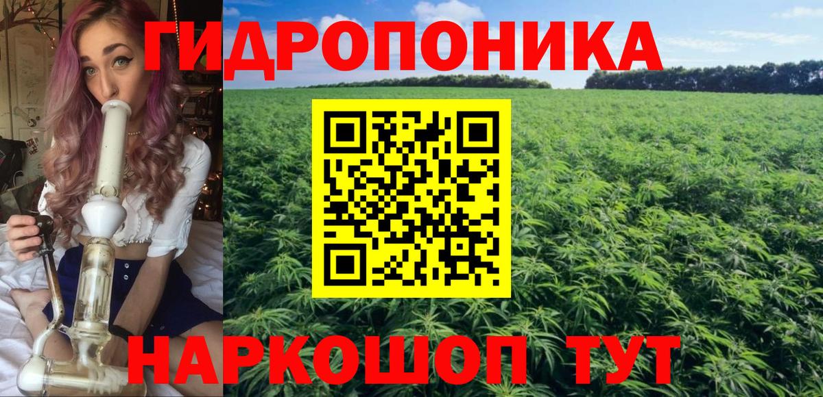 Бошки марихуана Ganja Карпинск